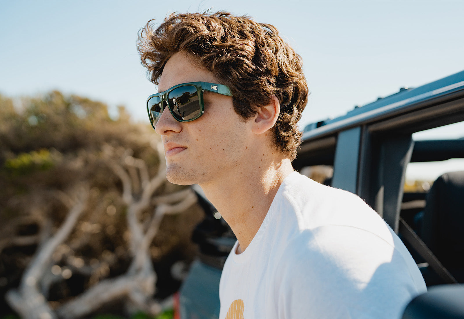 Torrey Pines Sherwood#Color_Sherwood